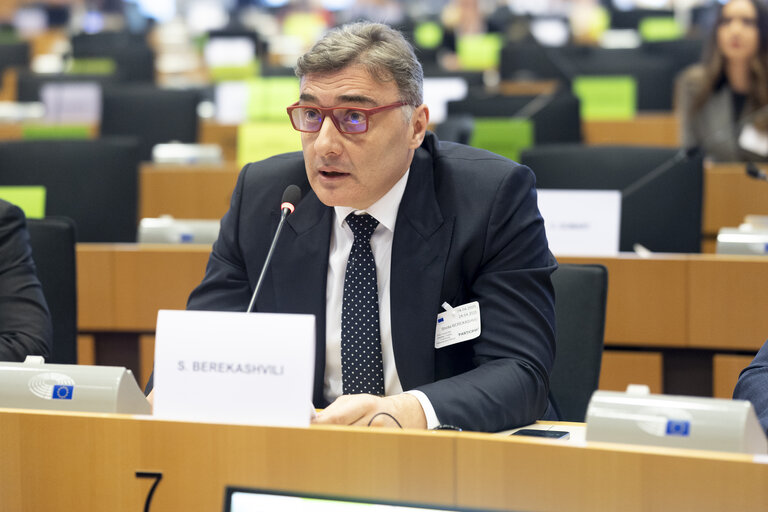 ITRE Committee meeting - Energy Community Parliamentary Plenum
