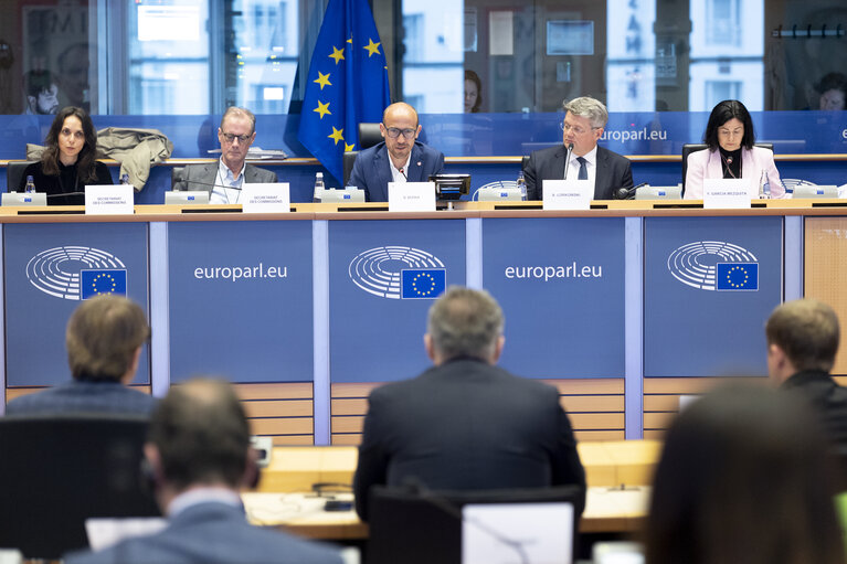 Valokuva 18: ITRE Committee meeting - Energy Community Parliamentary Plenum