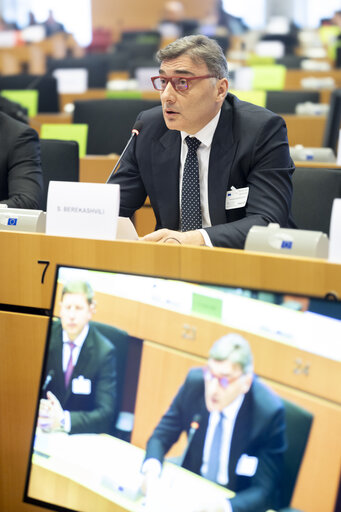 ITRE Committee meeting - Energy Community Parliamentary Plenum