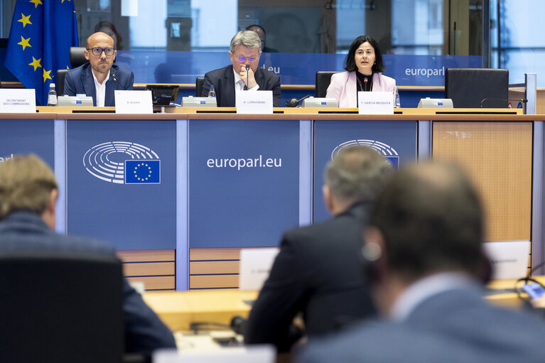 ITRE Committee meeting - Energy Community Parliamentary Plenum