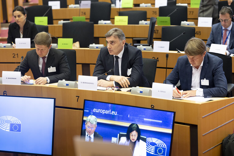 ITRE Committee meeting - Energy Community Parliamentary Plenum