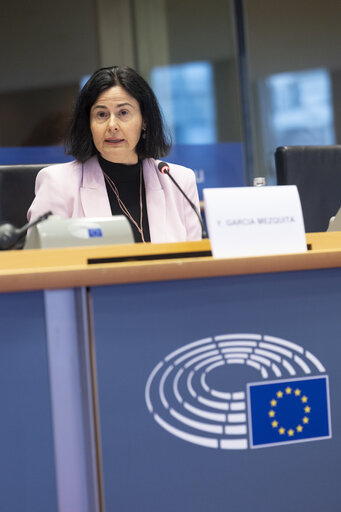 ITRE Committee meeting - Energy Community Parliamentary Plenum