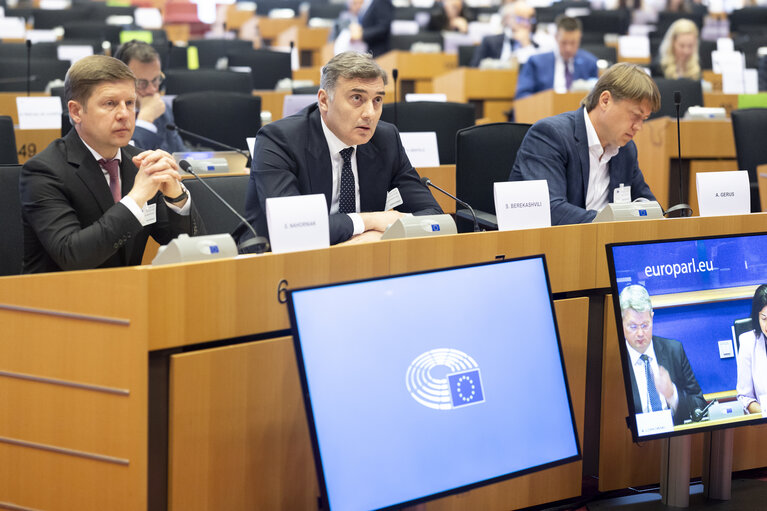 ITRE Committee meeting - Energy Community Parliamentary Plenum