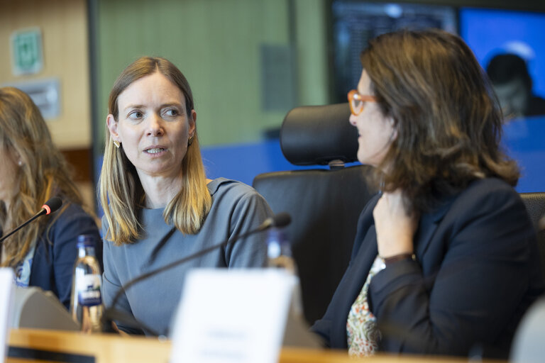 IMCO Committee