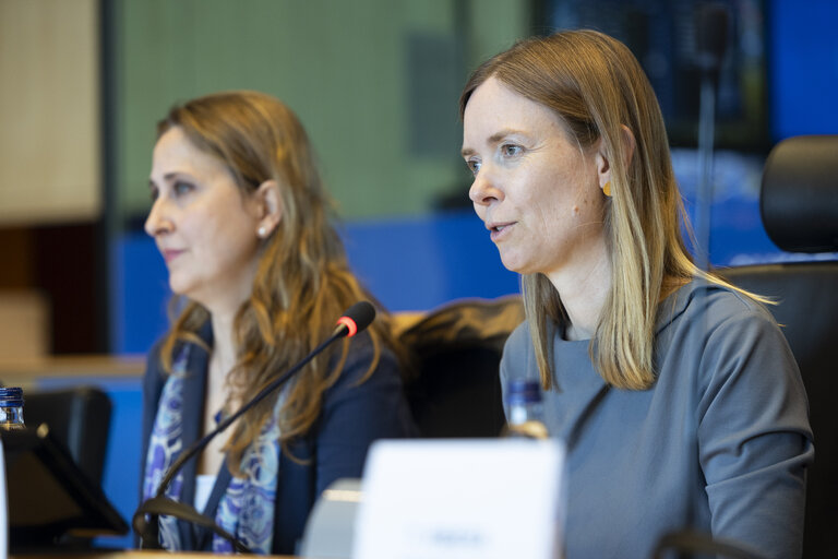 IMCO Committee