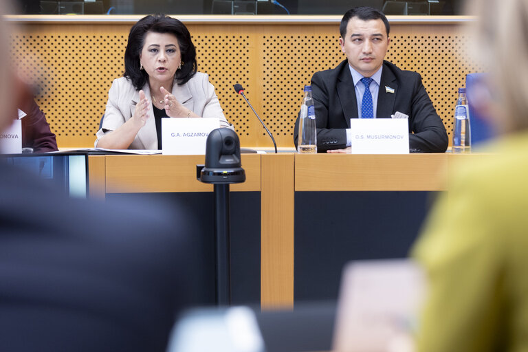 Foto 1: Workshop on Gender-Sensitive Parliaments - Inter Pares Partnership with the Oliy Majlis of the Republic of Uzbekistan