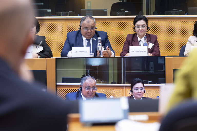 Foto 6: Workshop on Gender-Sensitive Parliaments - Inter Pares Partnership with the Oliy Majlis of the Republic of Uzbekistan