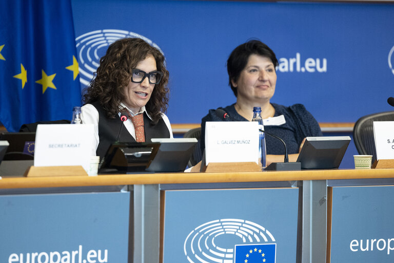 Foto 19: STOA Workshop - Generative AI and scientific development