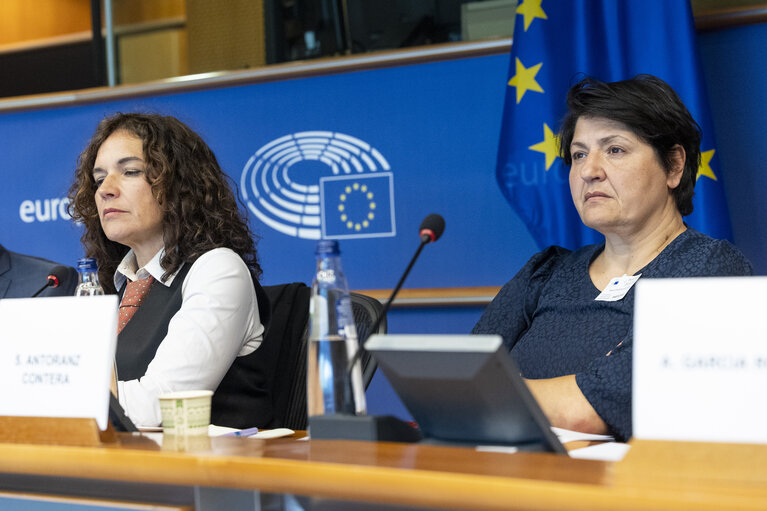 Foto 8: STOA Workshop - Generative AI and scientific development