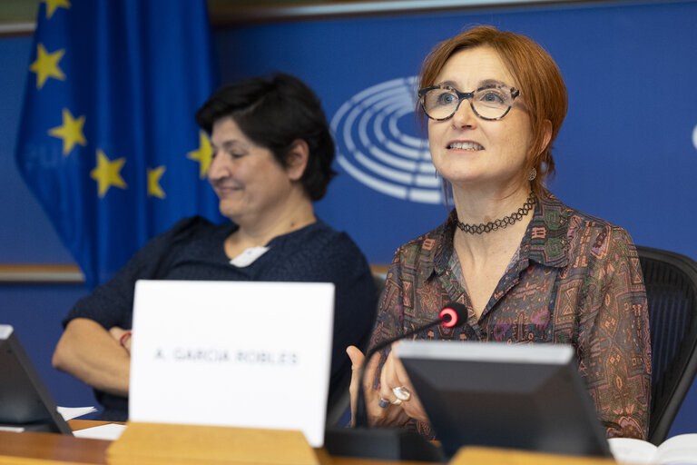 Foto 6: STOA Workshop - Generative AI and scientific development