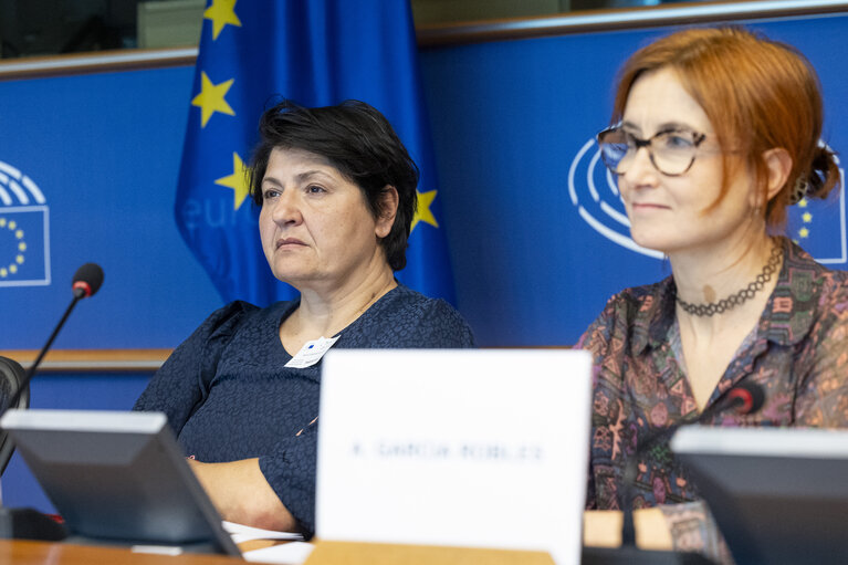 Foto 9: STOA Workshop - Generative AI and scientific development