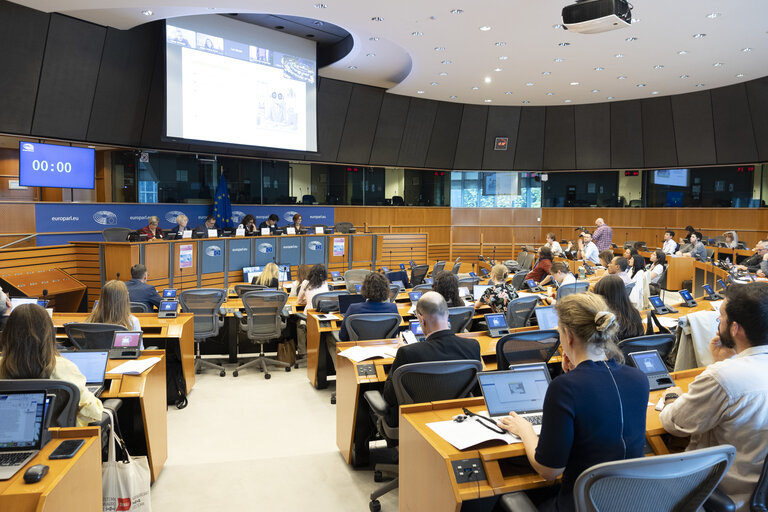 Foto 24: STOA Workshop - Generative AI and scientific development