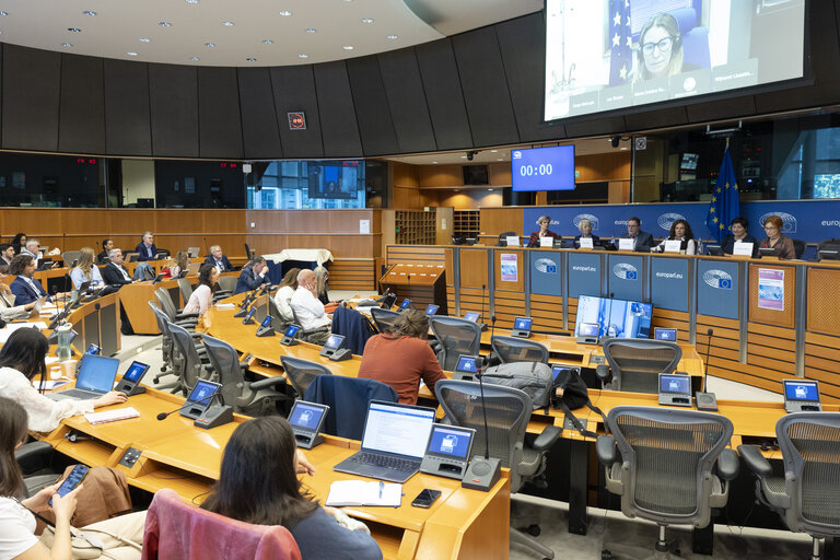 Foto 1: STOA Workshop - Generative AI and scientific development