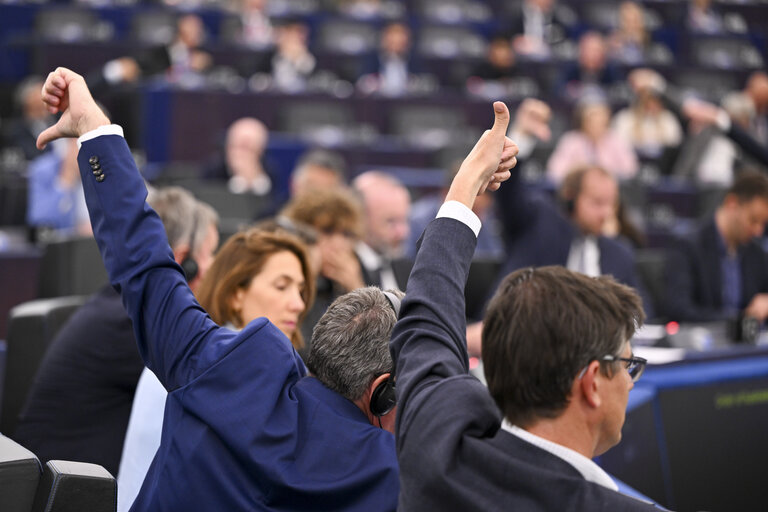 Fotografie 15: EP Plenary session - Resumption of session and order of business
