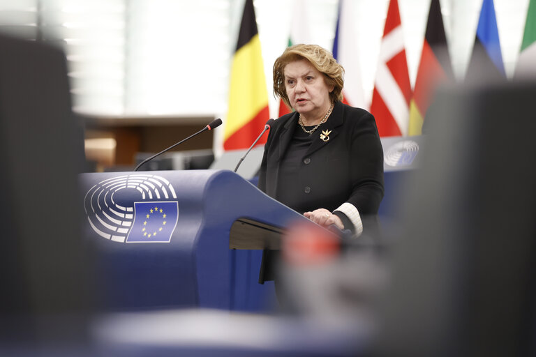 Zdjęcie 21: EP Plenary session - Protection of the European Union’s financial interests – combating fraud – annual report 2023
