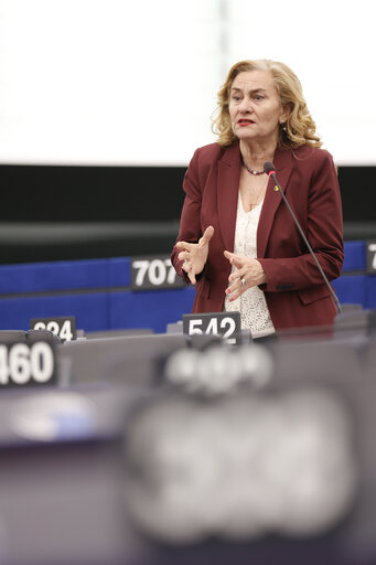 Zdjęcie 4: EP Plenary session - Protection of the European Union’s financial interests – combating fraud – annual report 2023