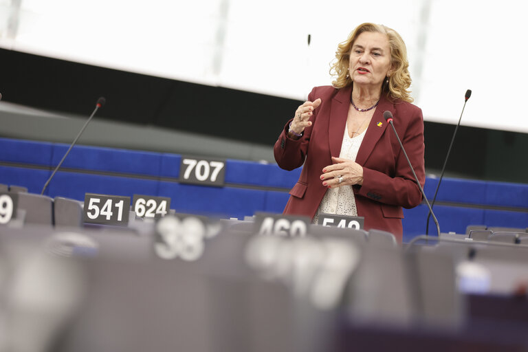 EP Plenary session - Ninth report on economic and social cohesion