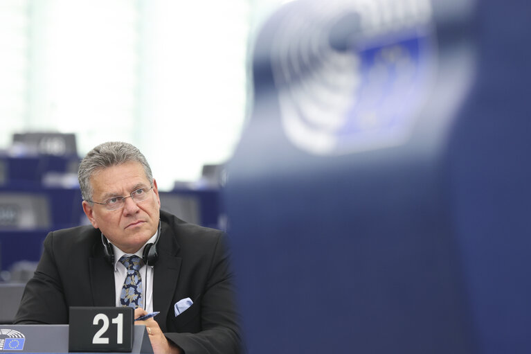 Fotografie 50: EP Plenary session - A unified EU response to unjustified US trade measures and global trade opportunities for the EU