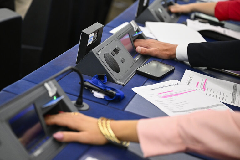 Foto 12: EP Plenary session - Voting session