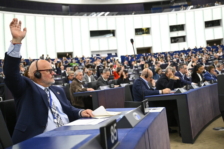 Foto 2: EP Plenary session - Voting session