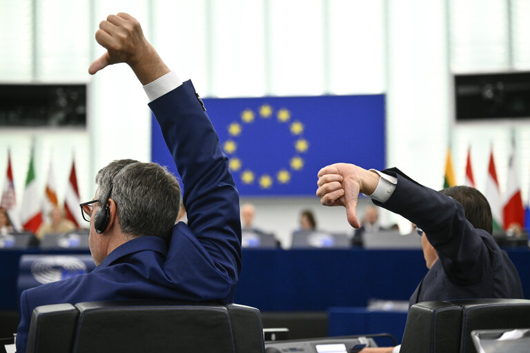 Foto 13: EP Plenary session - Voting session
