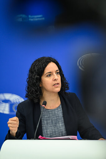 Press briefing The Left