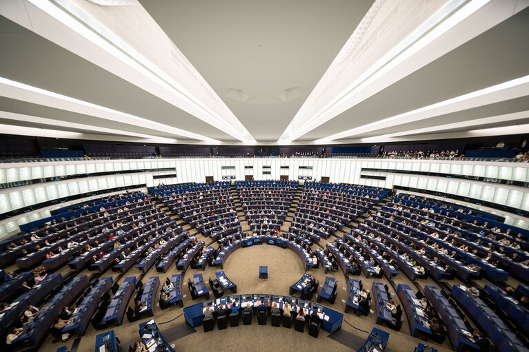 EP Plenary session - Voting session