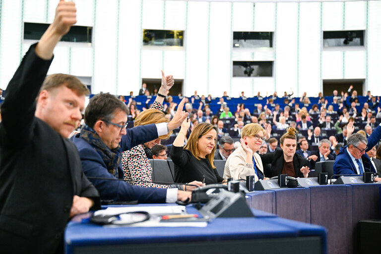 EP Plenary session - Voting session