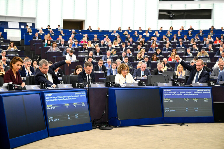 EP Plenary session - Voting session