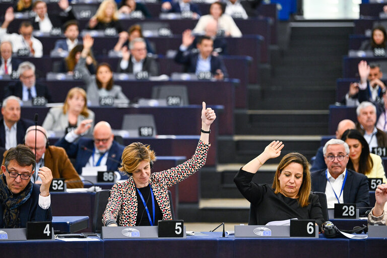 EP Plenary session - Voting session