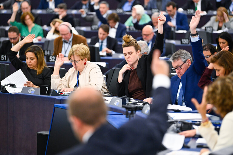 EP Plenary session - Voting session