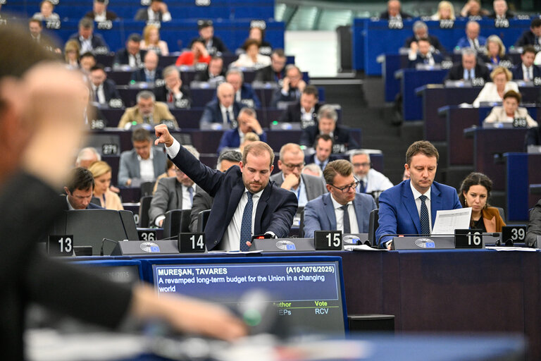 EP Plenary session - Voting session