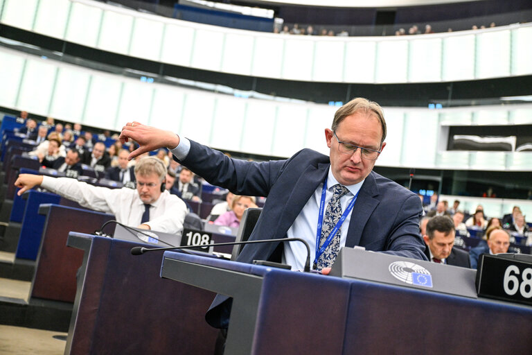 EP Plenary session - Voting session