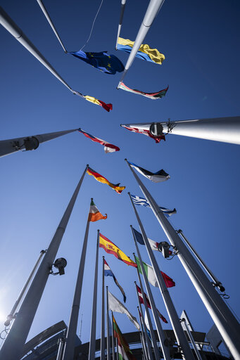 Photo 27: Commemoration of the 80th anniversary of the end of World War II in Europe - Wreath Laying Ceremony