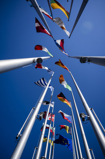 Photo 1: Commemoration of the 80th anniversary of the end of World War II in Europe - Wreath Laying Ceremony