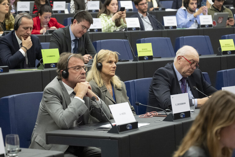 Delegation to the Africa-EU Parliamentary Assembly - Exchange of views on Sharing international responsibility for protecting victims of sexual violence in the Democratic Republic of Congo