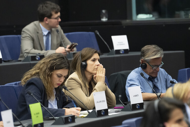 Delegation to the Africa-EU Parliamentary Assembly - Exchange of views on Sharing international responsibility for protecting victims of sexual violence in the Democratic Republic of Congo