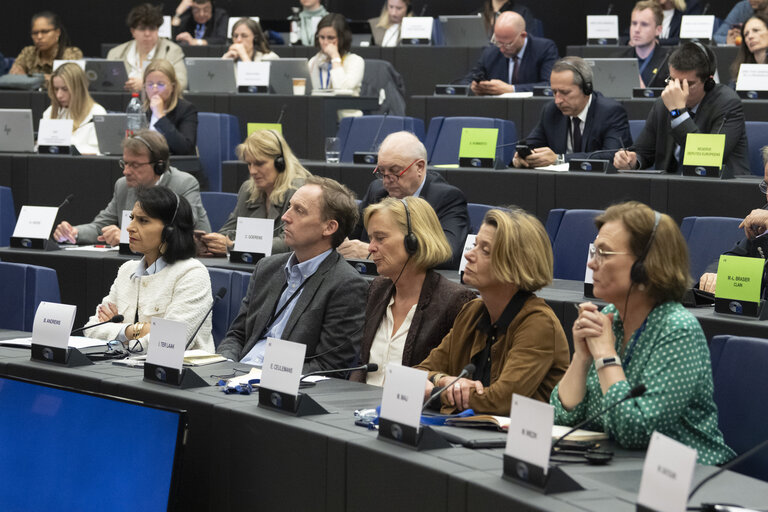 Delegation to the Africa-EU Parliamentary Assembly - Exchange of views on Sharing international responsibility for protecting victims of sexual violence in the Democratic Republic of Congo