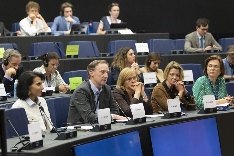 Delegation to the Africa-EU Parliamentary Assembly - Exchange of views on Sharing international responsibility for protecting victims of sexual violence in the Democratic Republic of Congo