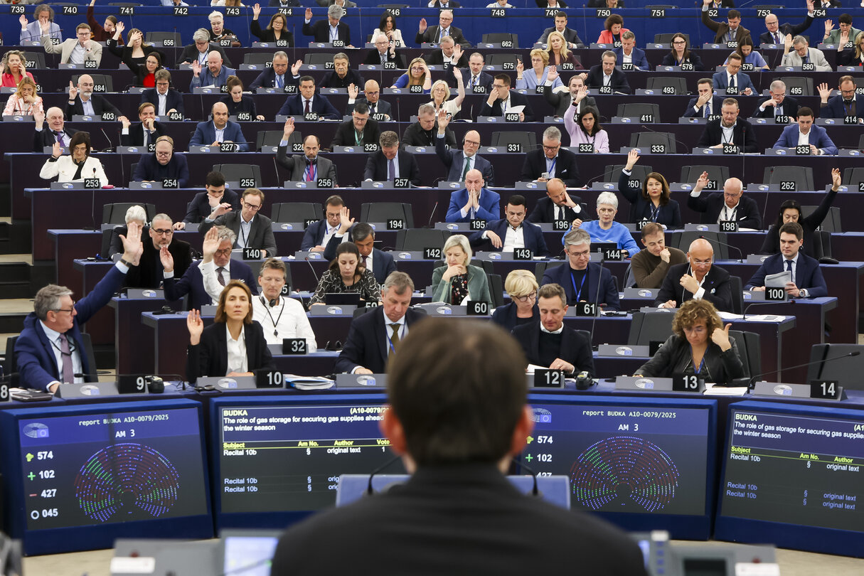 EP Plenary session - Voting session
