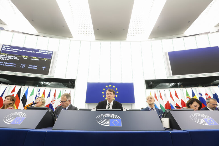 EP Plenary session - Voting session