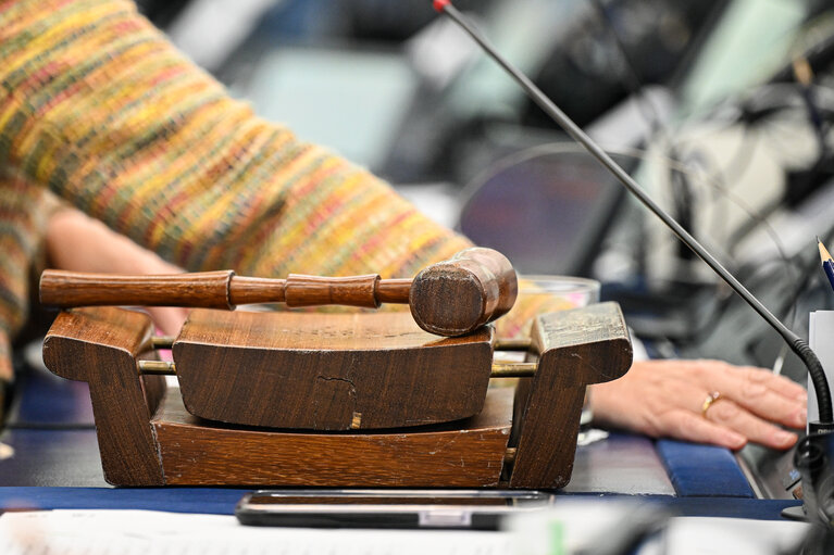 Strasbourg's Plenary session through the lens - Week 149