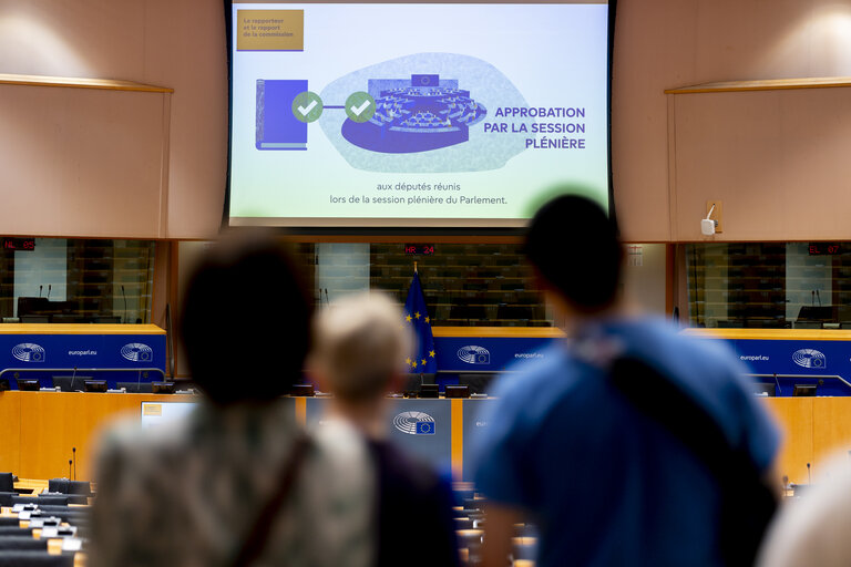 Fotografija 24: Europe Day 2025 in Brussels