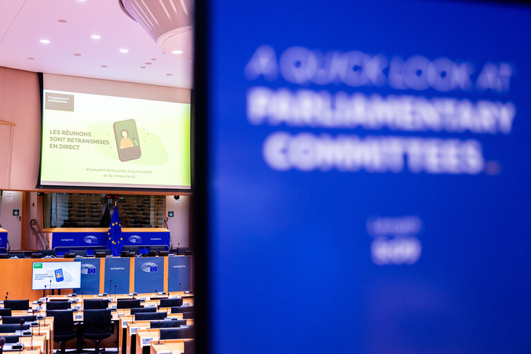 Fotografija 2: Europe Day 2025 in Brussels