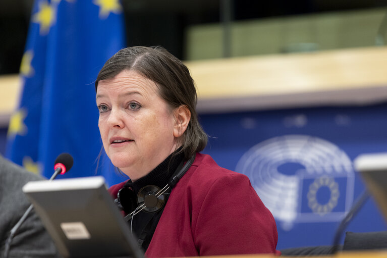 Fotografija 10: LIBE - Addressing the root causes of missing persons in the EU