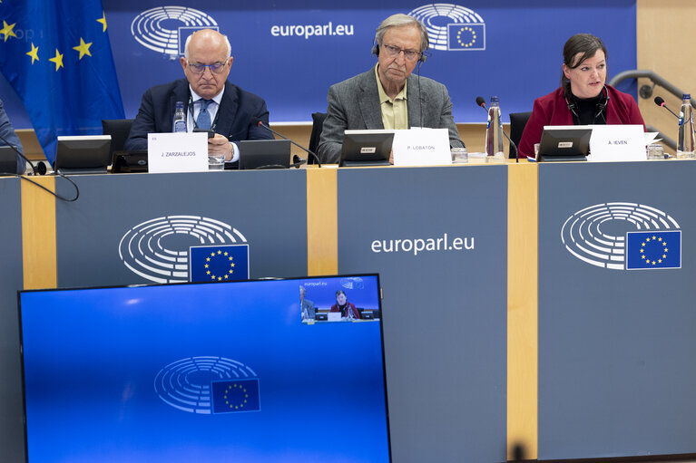Fotografija 11: LIBE - Addressing the root causes of missing persons in the EU