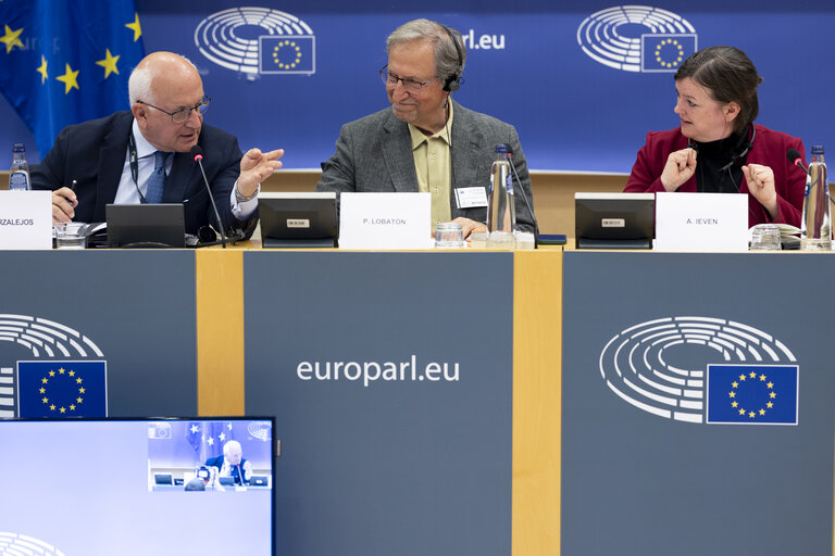 Fotografija 8: LIBE - Addressing the root causes of missing persons in the EU
