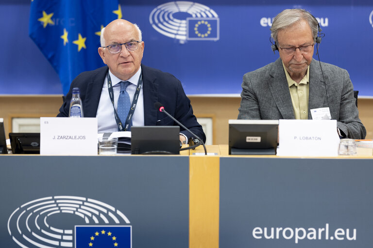 Fotografija 15: LIBE - Addressing the root causes of missing persons in the EU