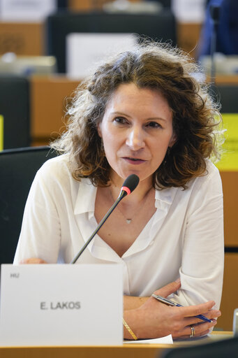 Foto 8: ITRE Committee Meeting