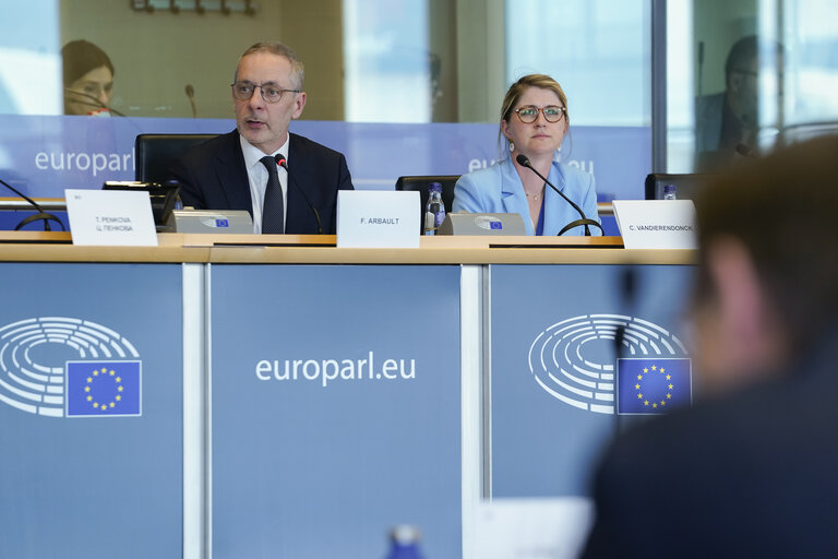 Foto 12: ITRE Committee Meeting